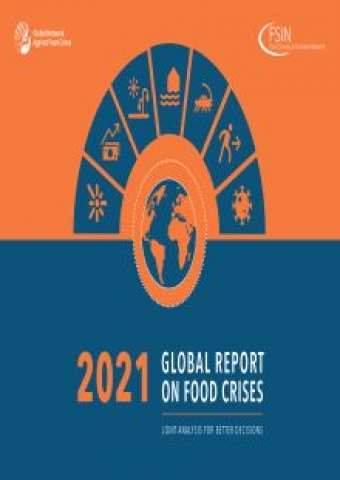 Global Report on Food Crises 2021 